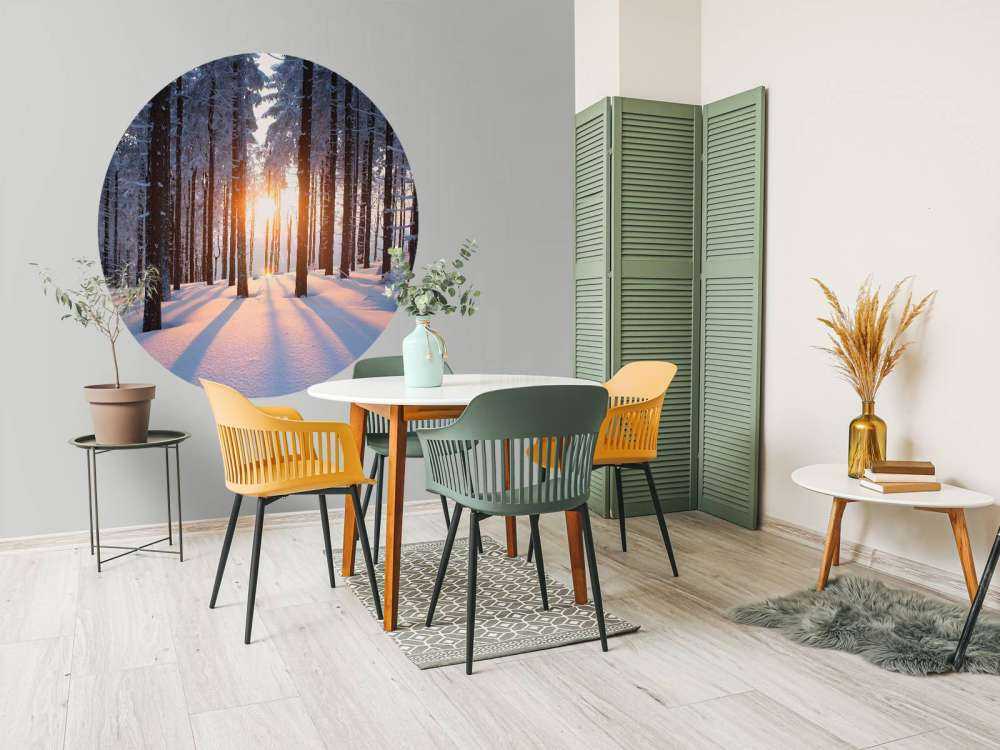 Tramonto in una foresta invernale