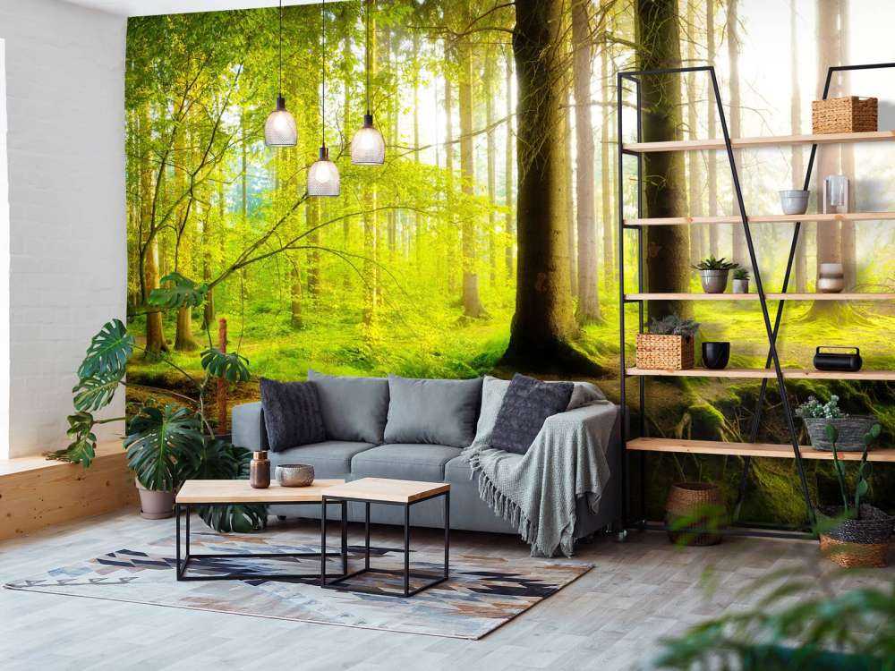 Fresca foresta verde