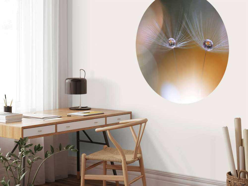 Semi di dente di leone