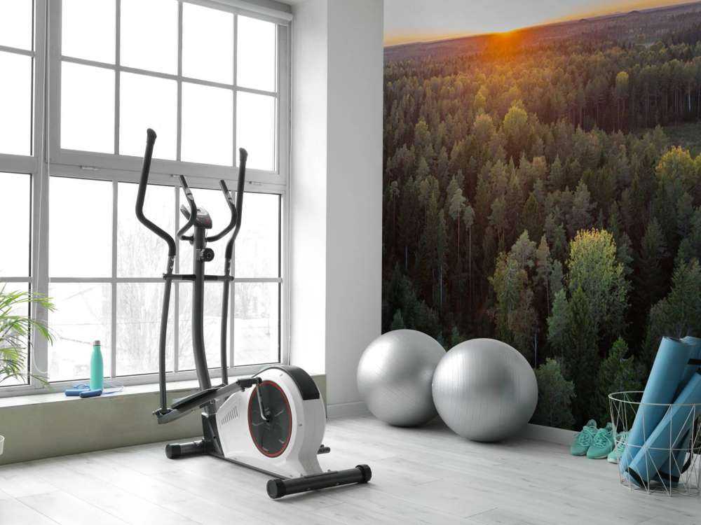 Foto aerea di alberi autunnali