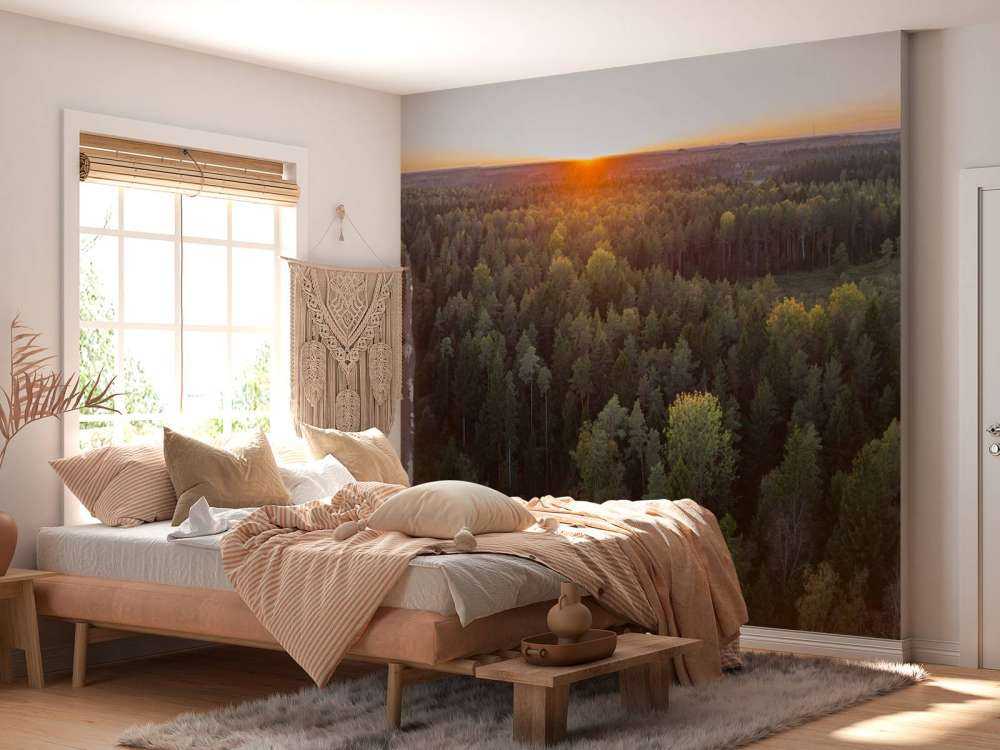 Foto aerea di alberi autunnali