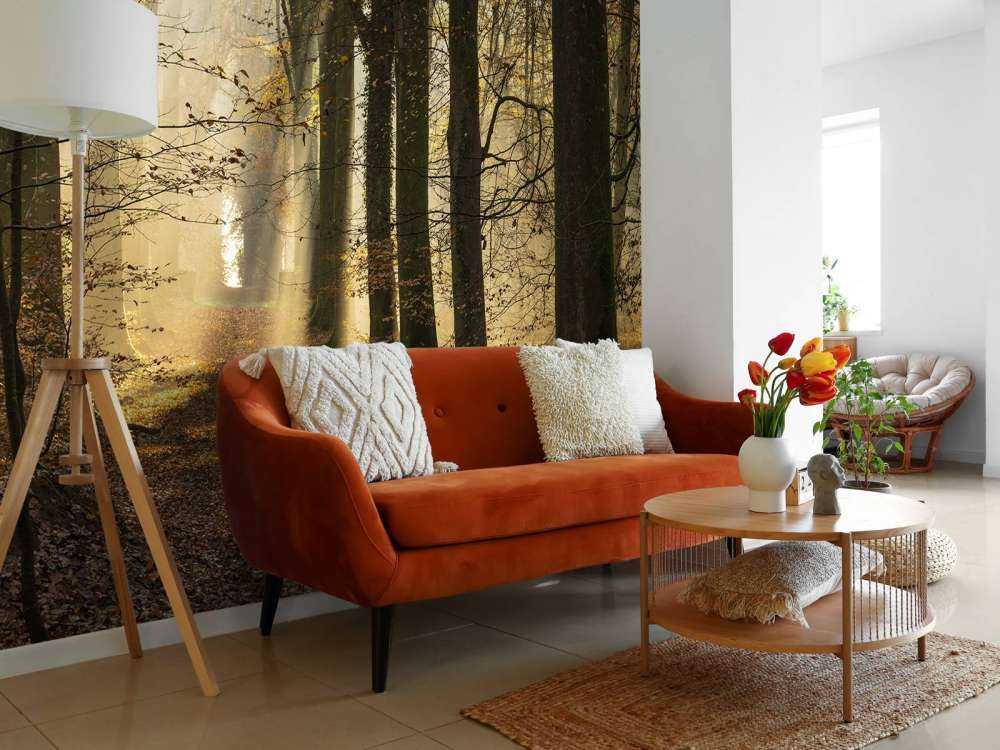 La foresta di Crécy