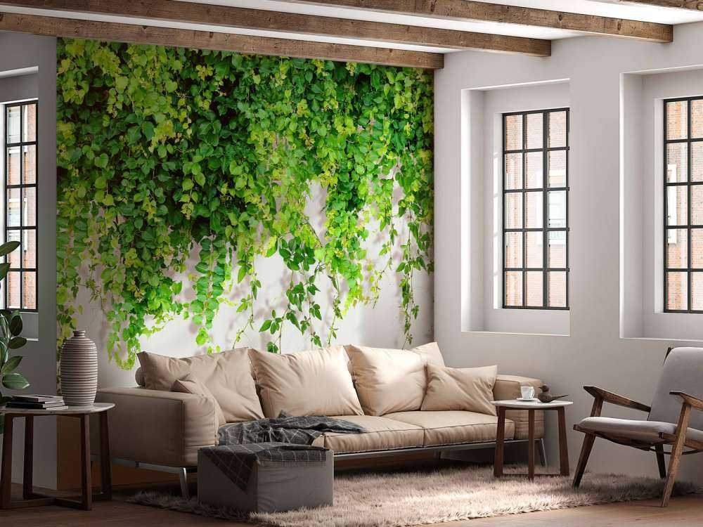 Ramas verdes colgantes