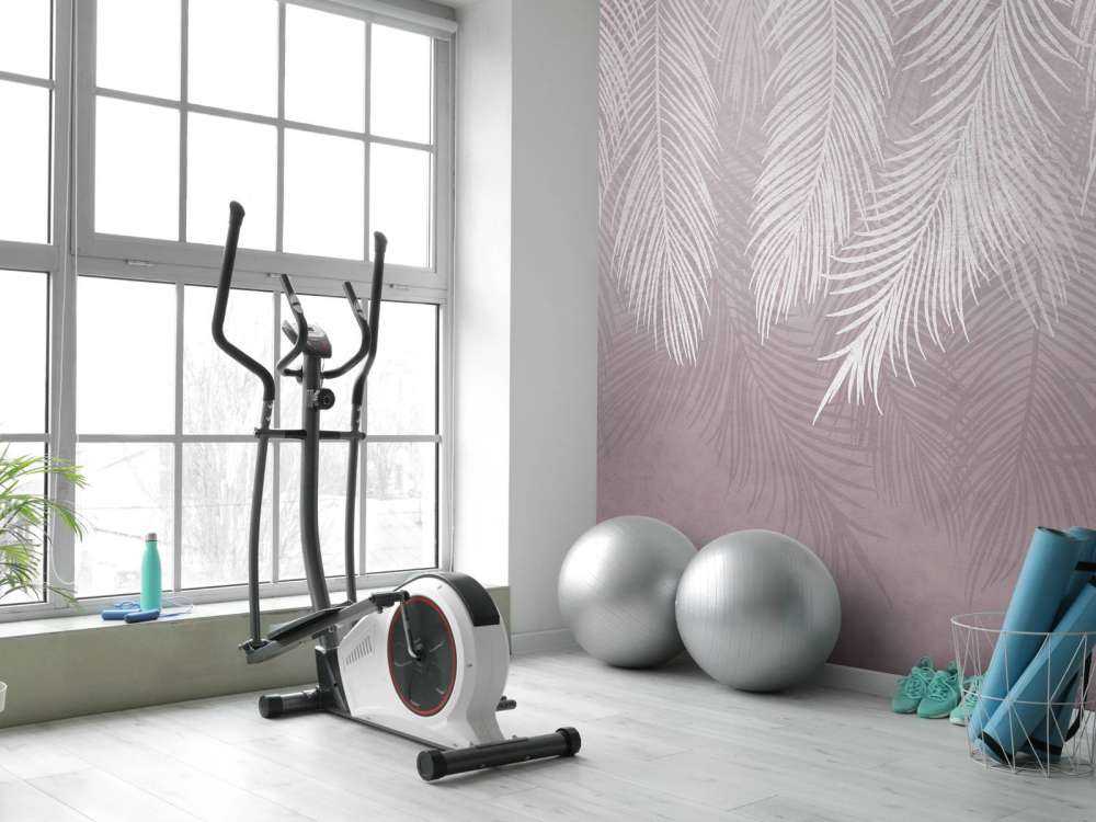 Hojas de palmera sobre hormigón