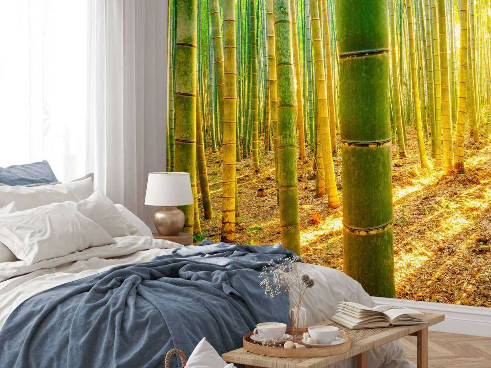 Foresta di bambù all'alba