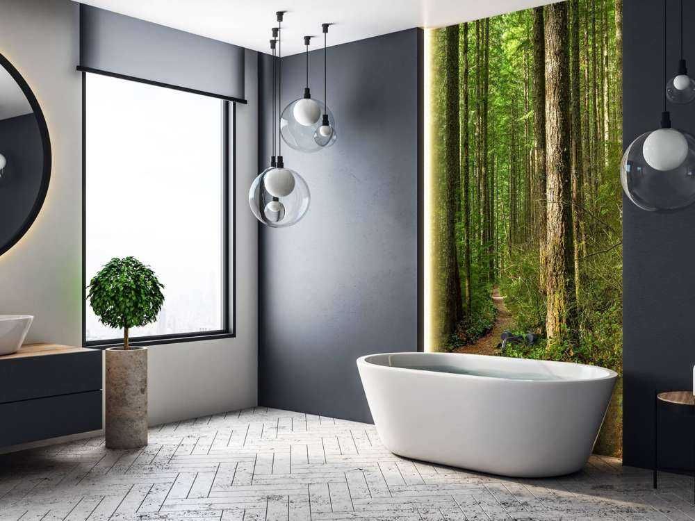 Sentiero nella foresta