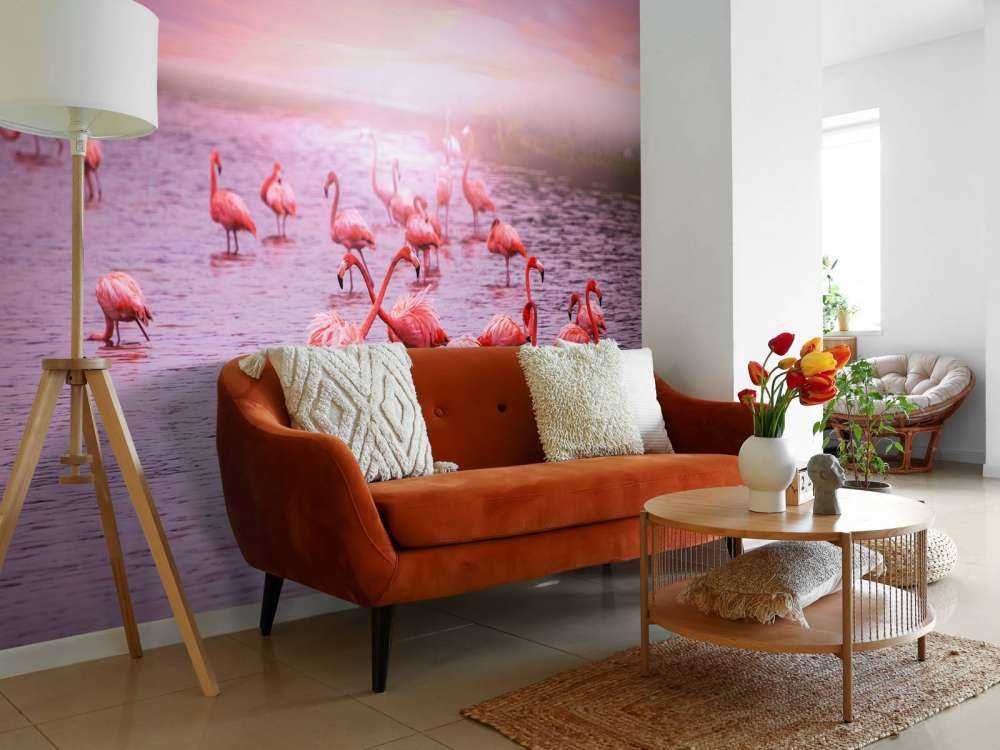 Fenicottero con tramonto