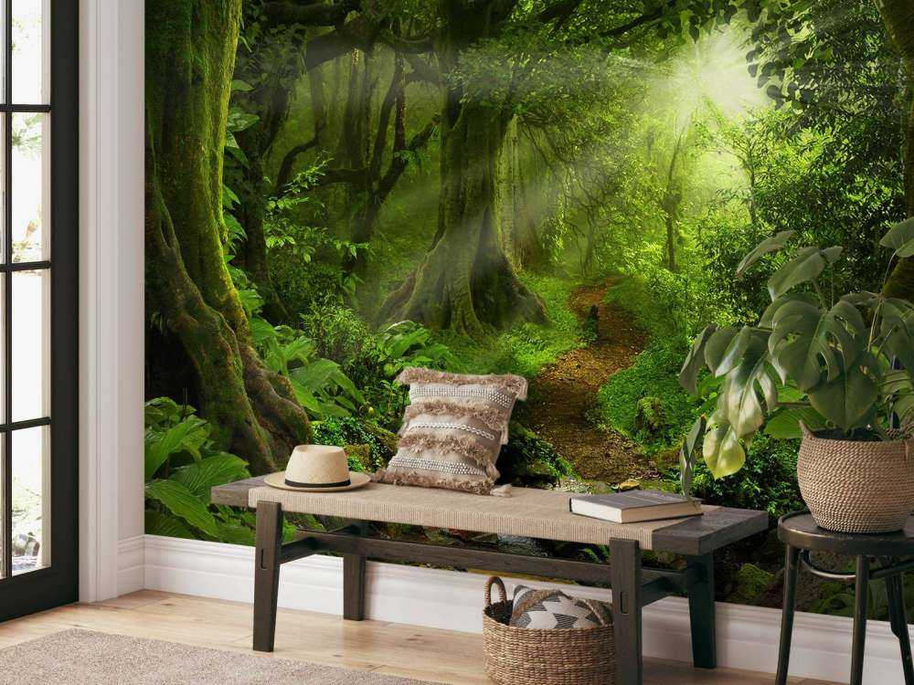 Giungla tropicale con luce solare