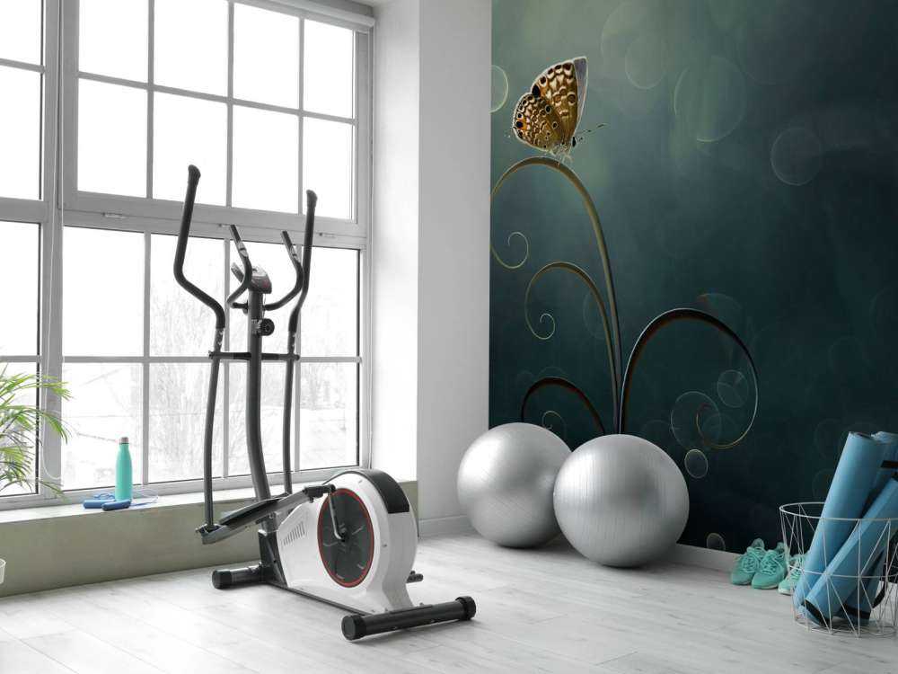 Butterfly in the Morning with Bokeh