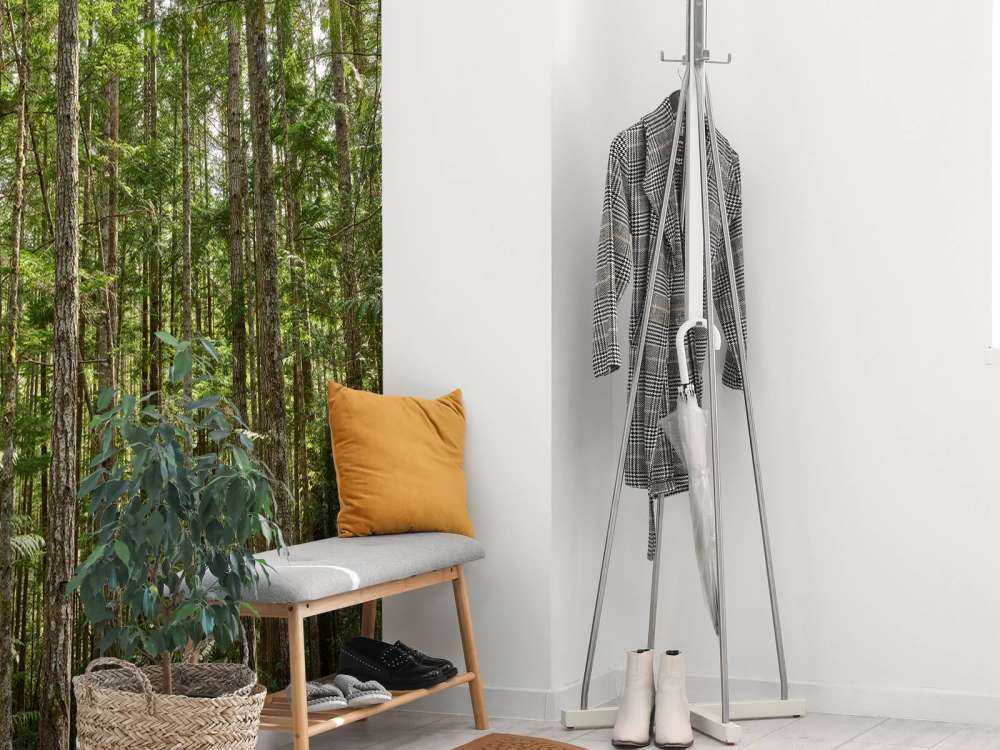 Alberi sottili nella foresta