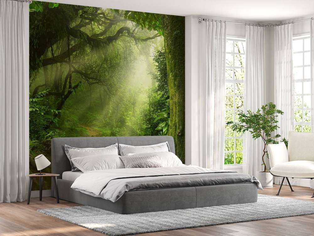 Giungla con raggi di sole