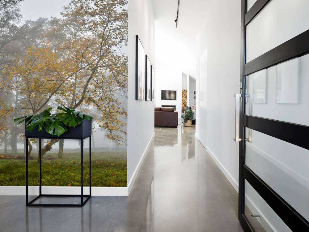 Campo di erba con alberi e nebbia