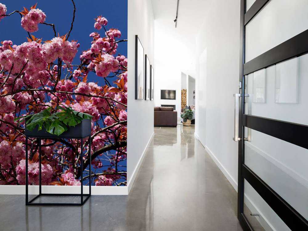 Fiore rosa con cielo blu