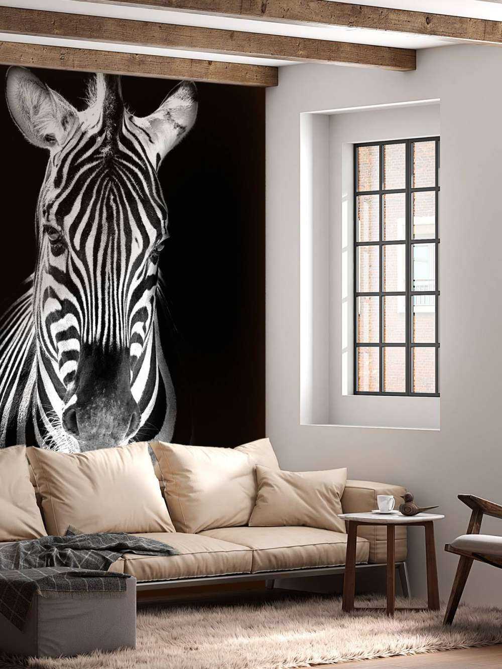 Close-up zebra in bianco e nero