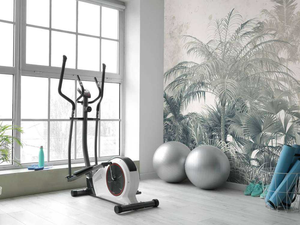 Foresta pluviale mistica