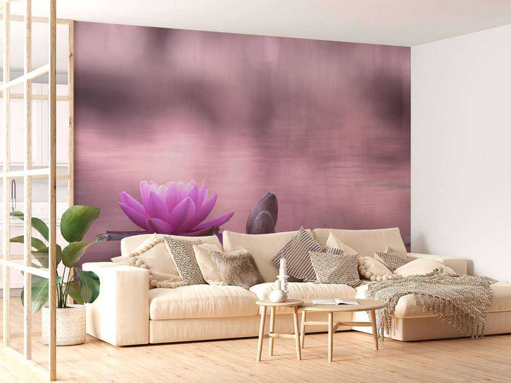 Fiore di loto in stagno