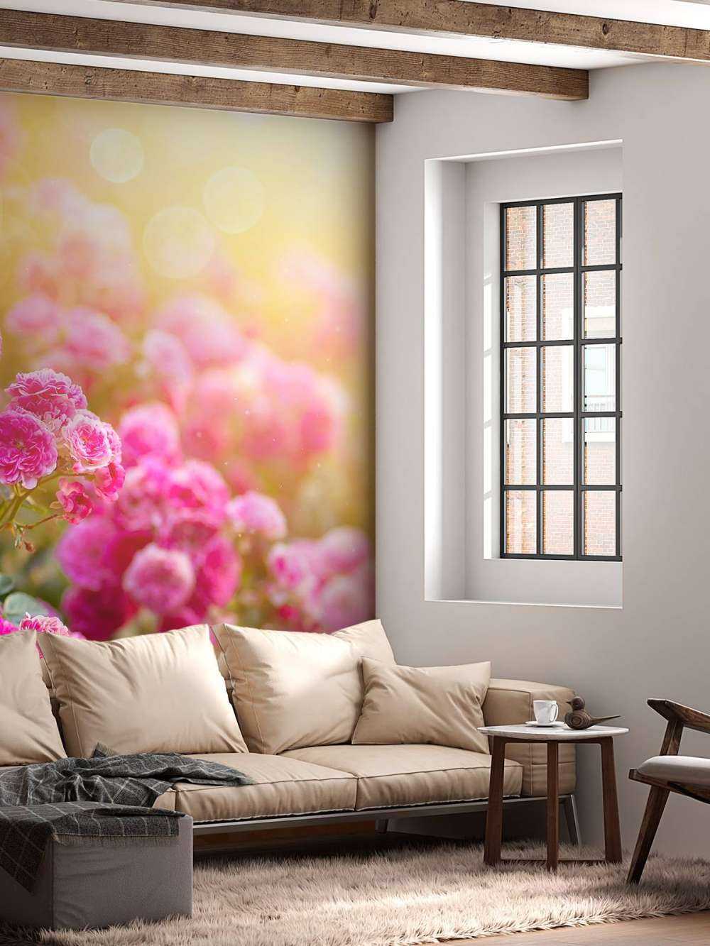 Cespugli di rose rosa