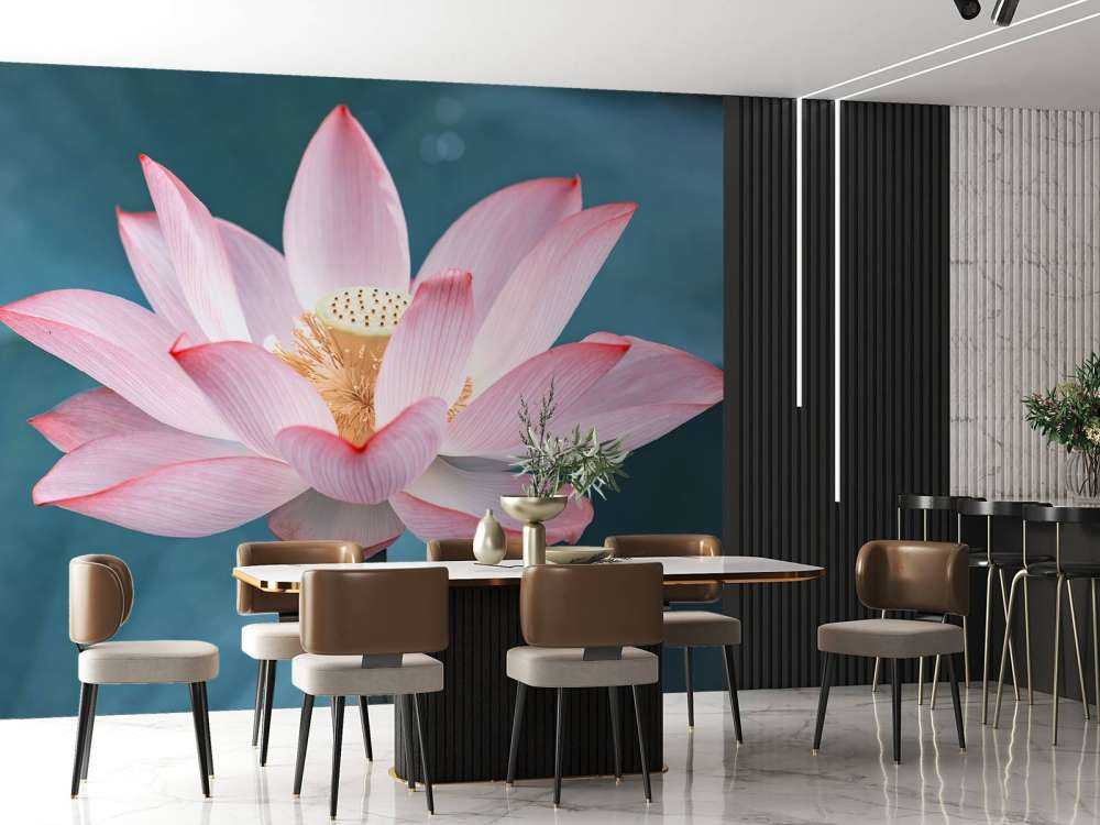 Fiore di loto da vicino