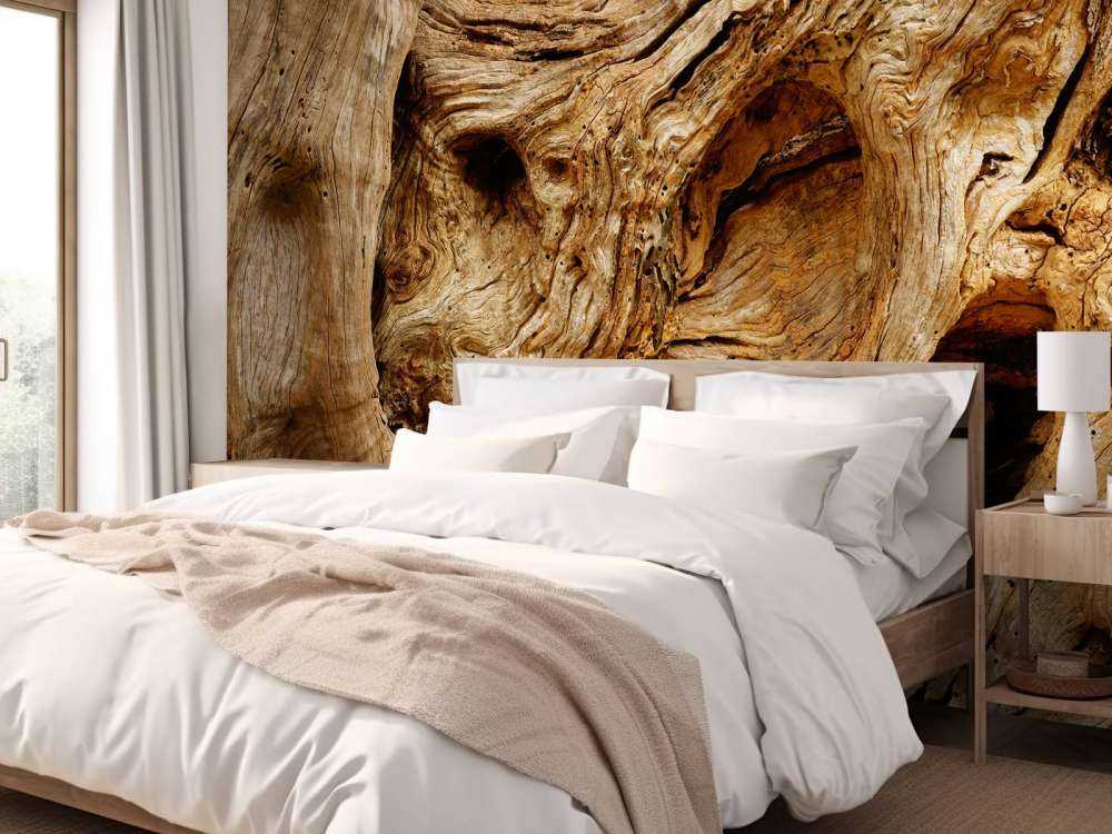 Vecchio albero da vicino