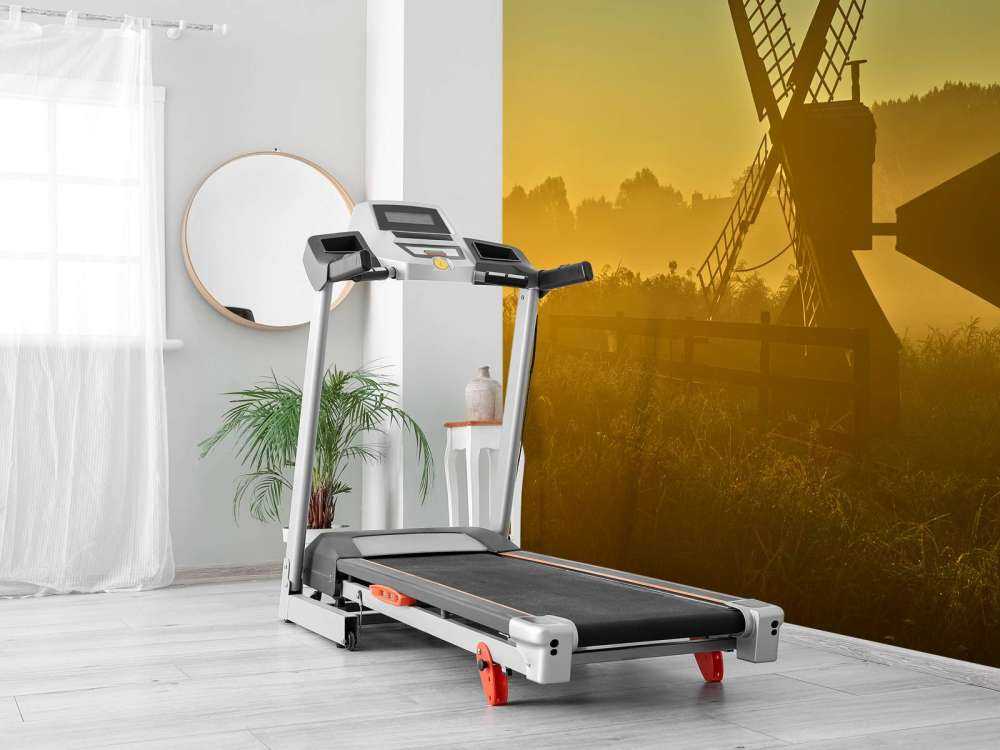 Mulino da prato all'alba