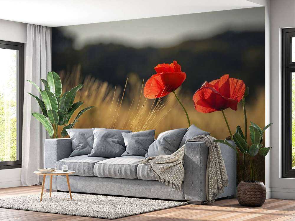 Papaveri in un campo di grano