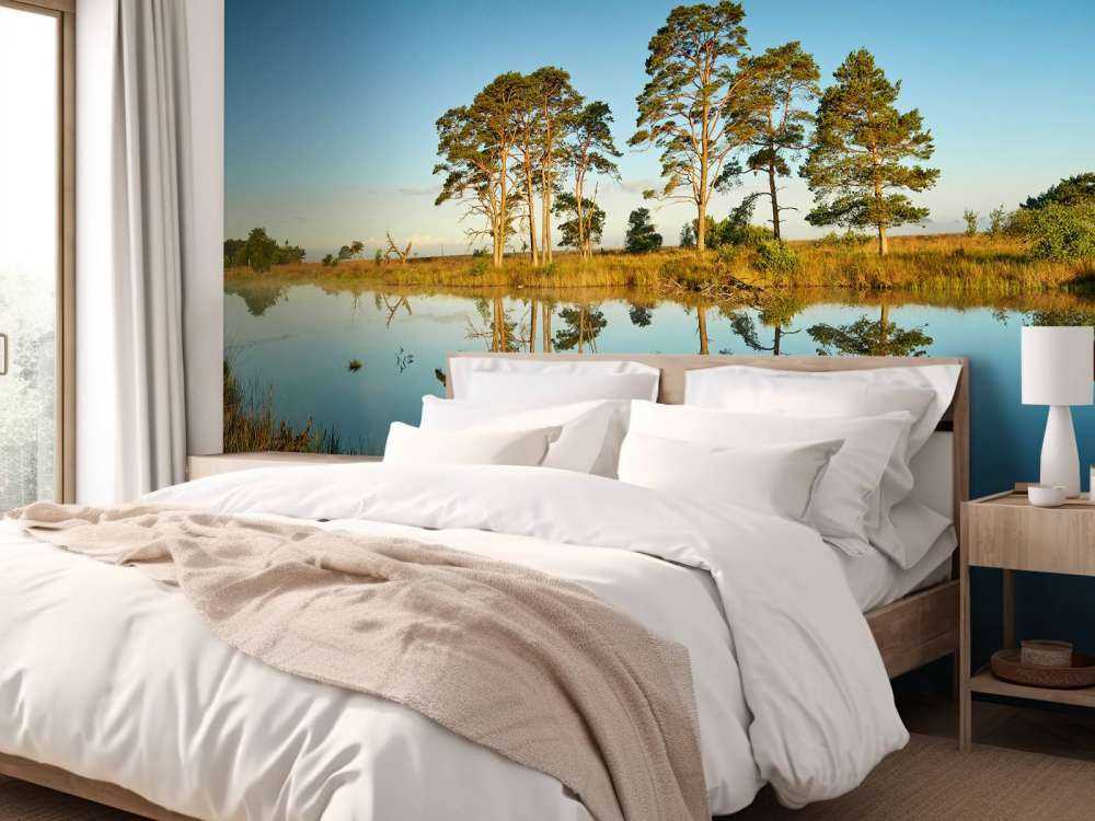 Riflessione nel lago della foresta