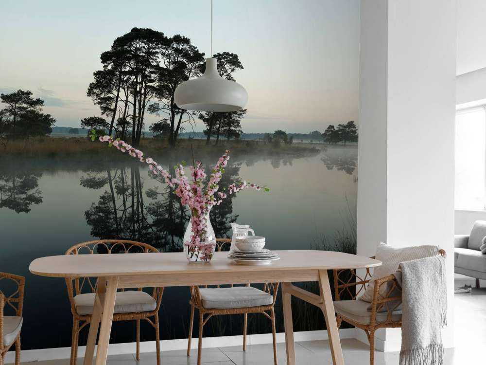 Alberi lungo i boschi