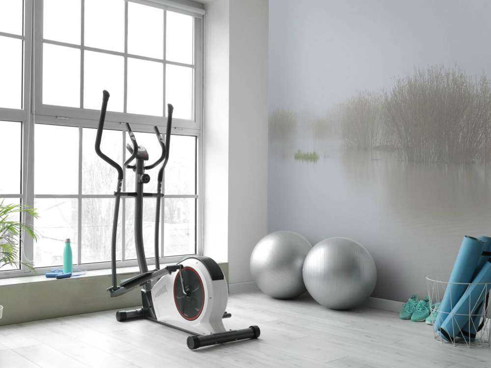 Nebbia nella riserva naturale