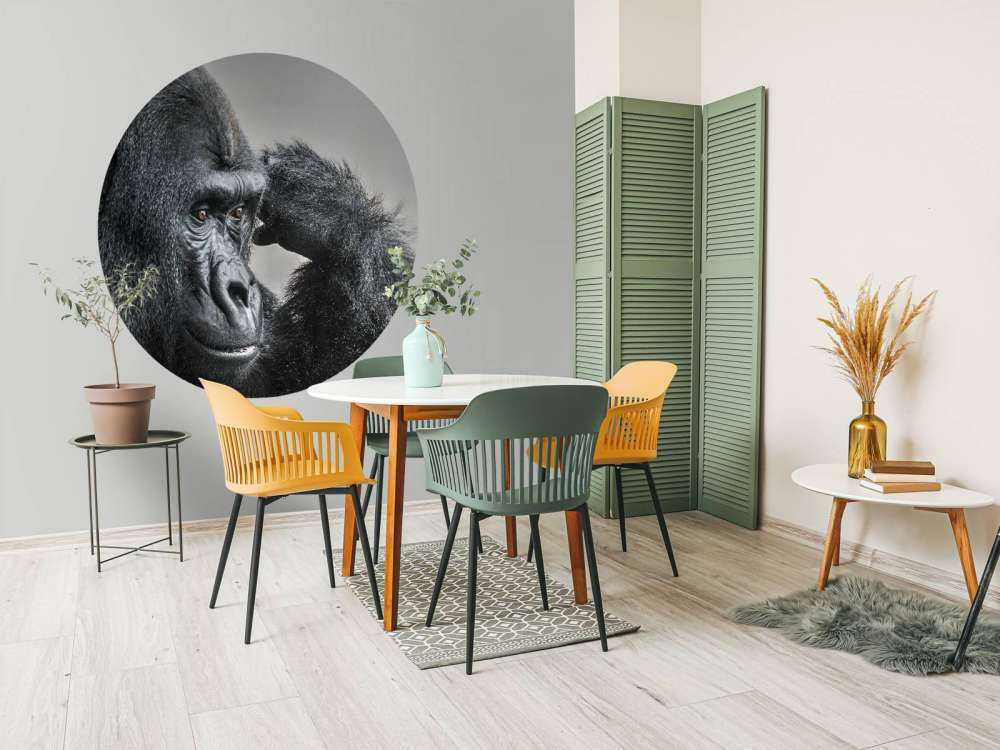 Gorilla bianco e nero