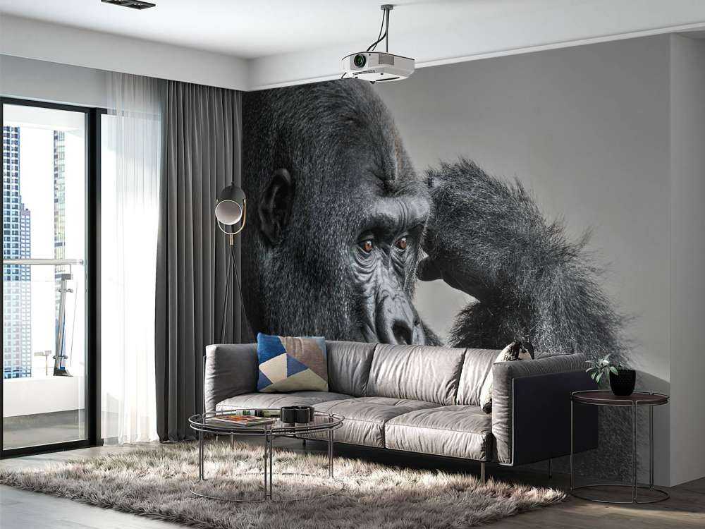 Gorilla bianco e nero