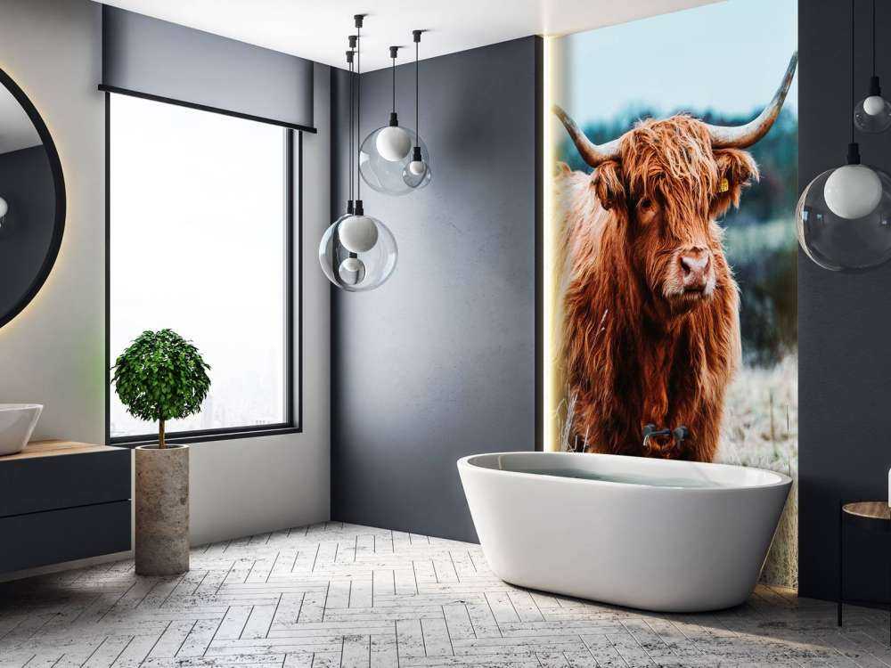 Highlander scozzese nella foresta