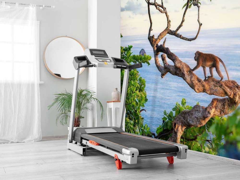 Scimmia su un albero