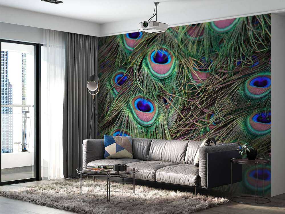 Primo piano di piume pavone