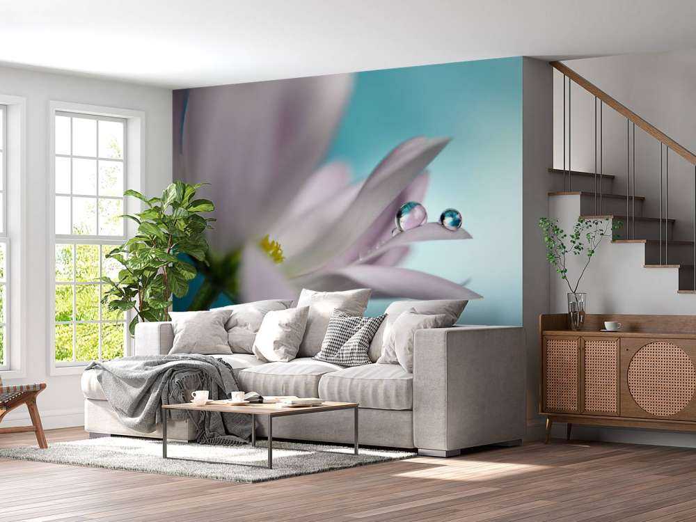 In turquoise Company