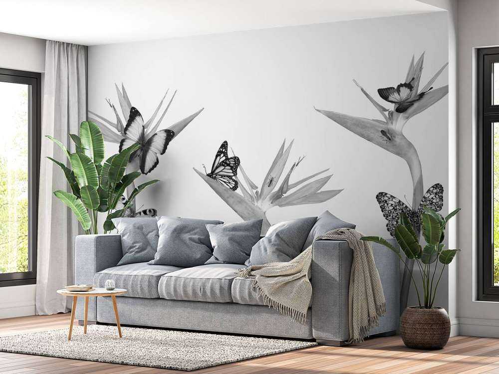 Farfalle su fiori di uccello del paradiso