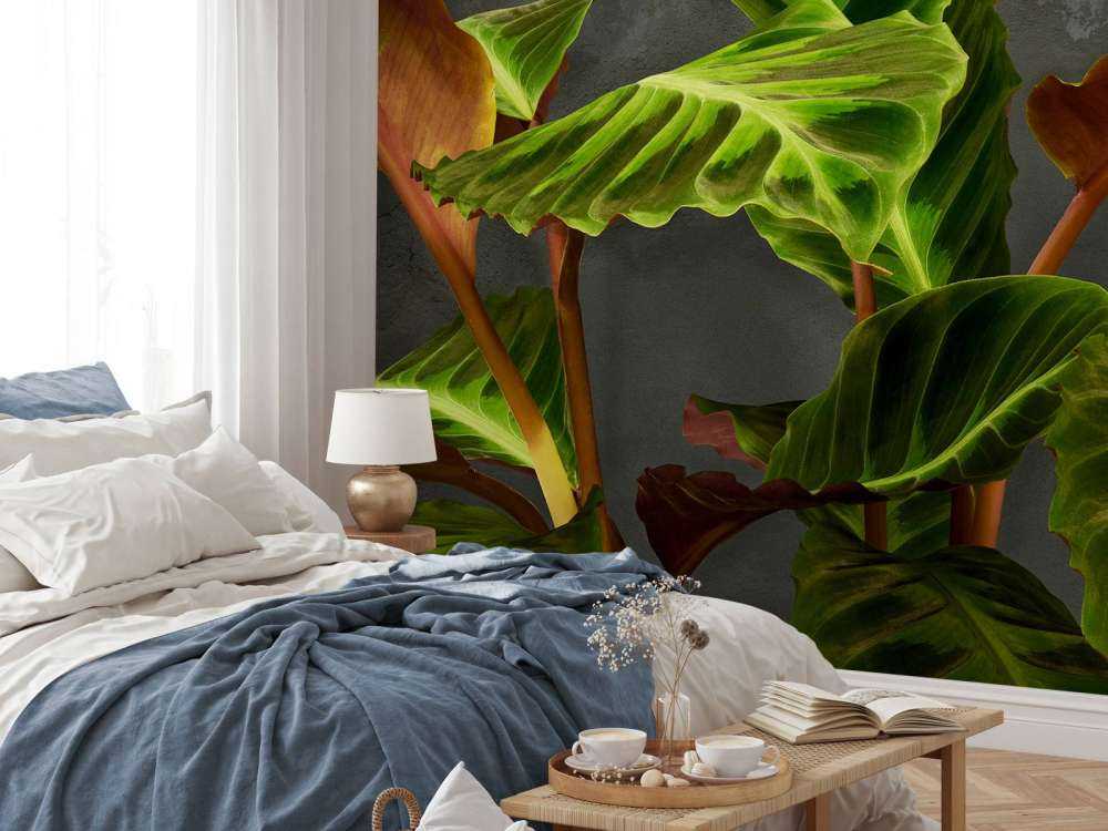 Pianta con belle foglie verdi