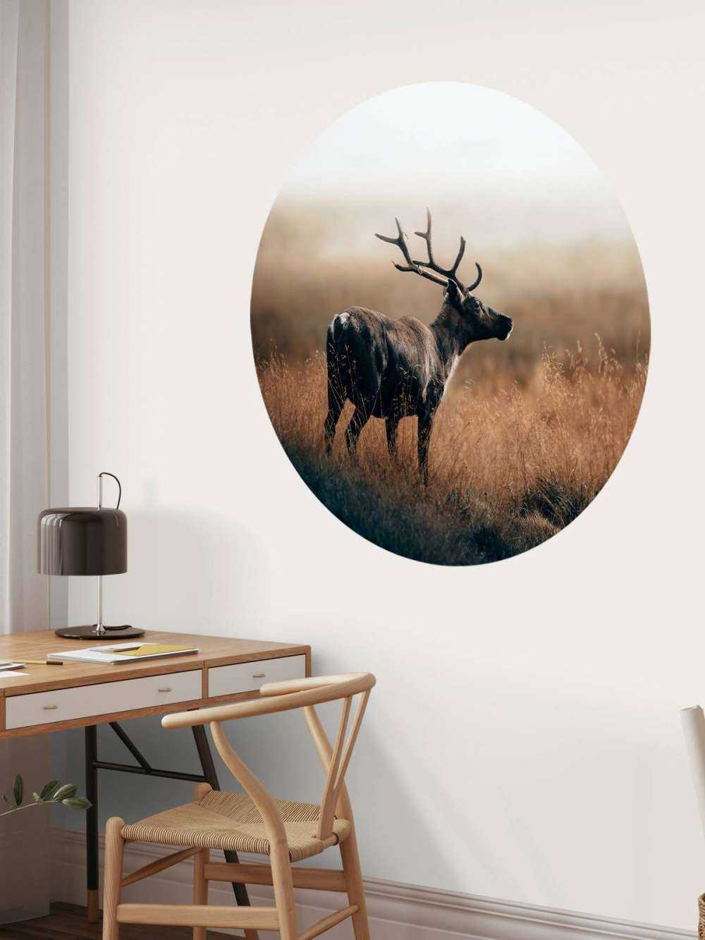 Renne nell'erba alta