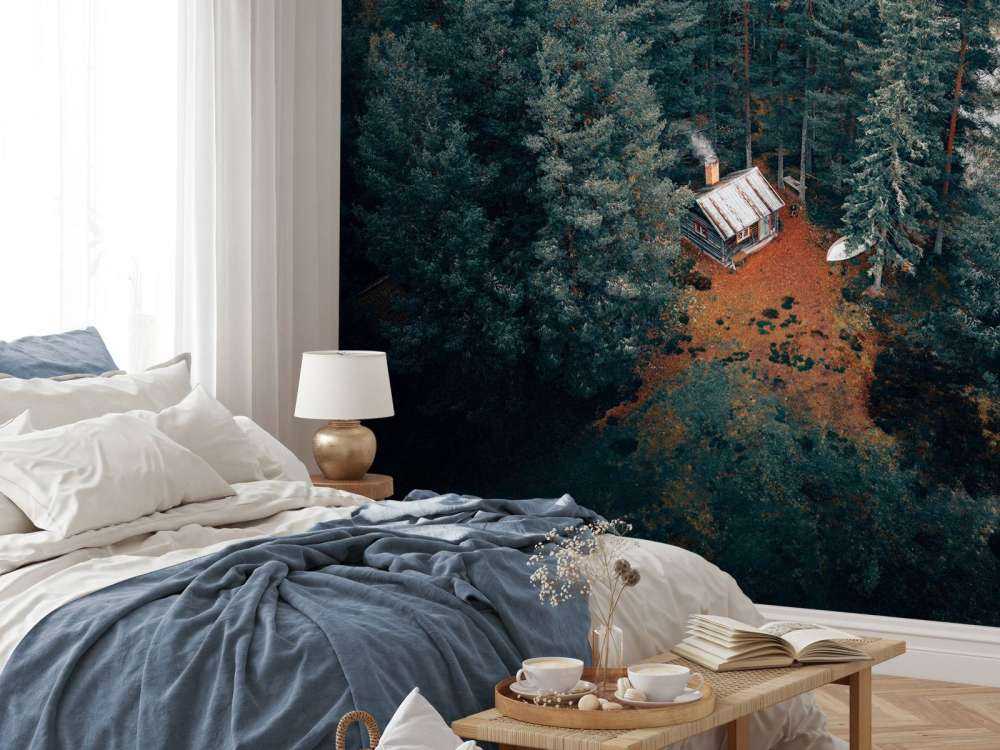 Capanna circondata da foresta e laghi