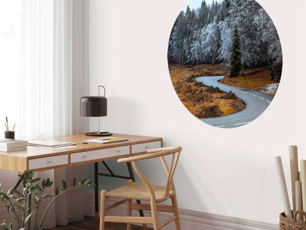 The road and the frozen trees