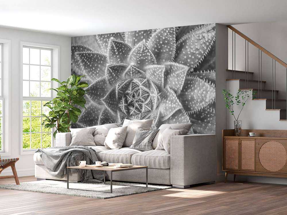 Primo piano di una succulenta