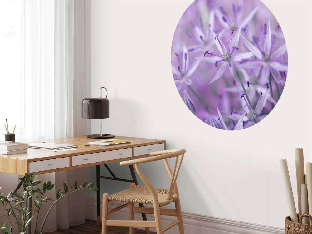 Fiori di allium viola