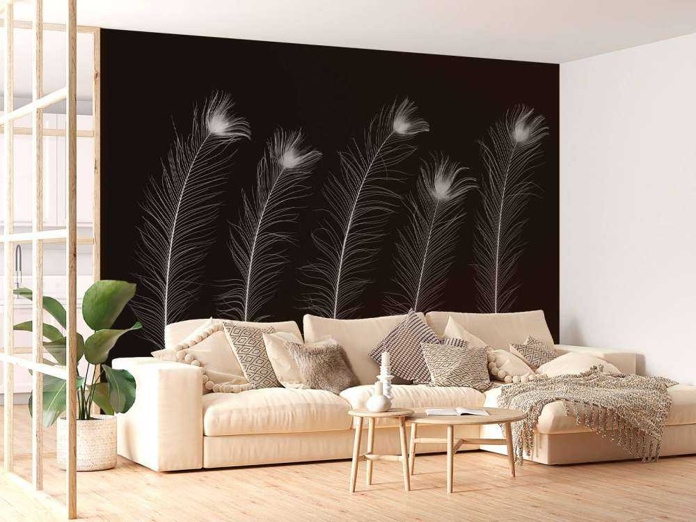 Piume di pavone bianche