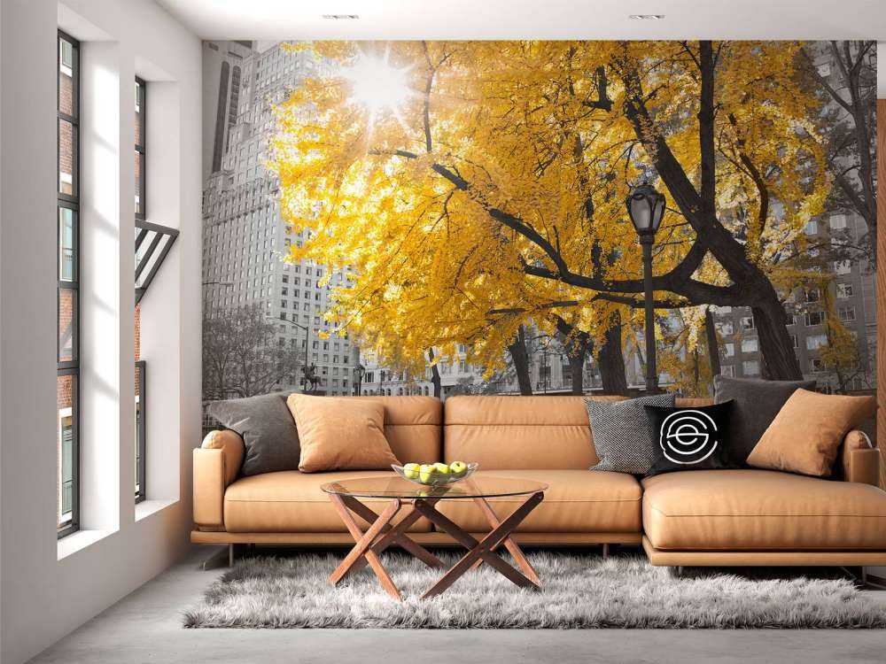 Un sentiero attraverso Central Park