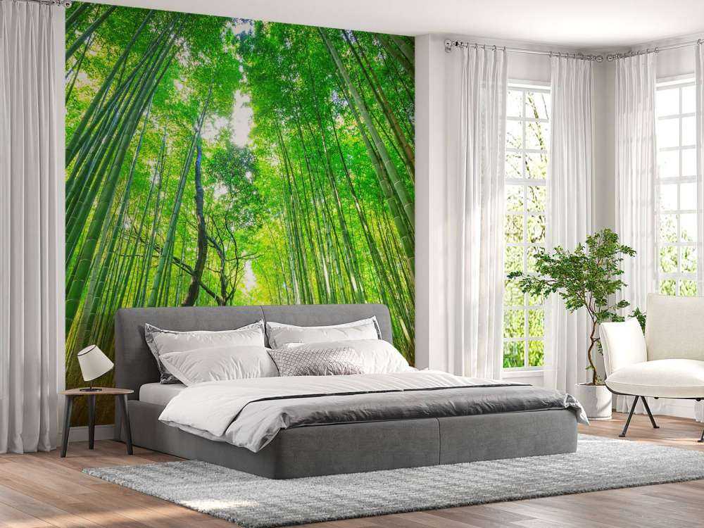 Foresta di bambù di Arashiyama