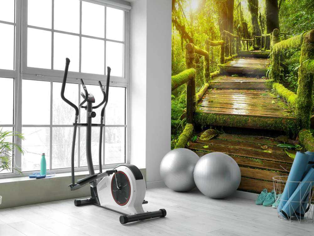 Grande scala della giungla