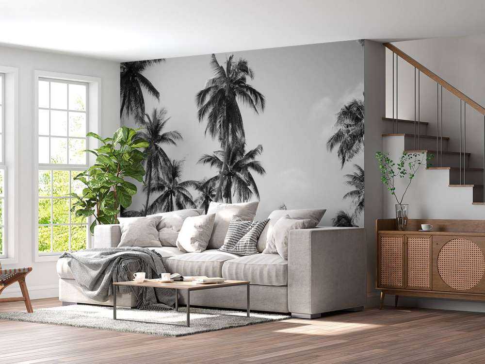 Palme in bianco e nero