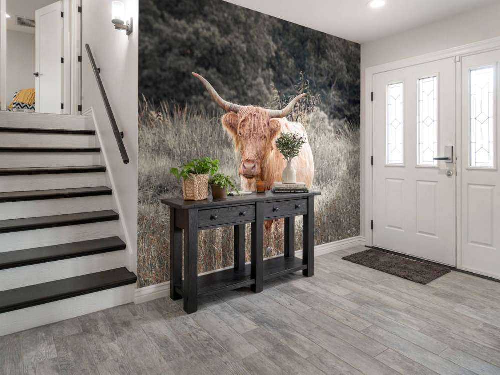 Highlander scozzese in un campo