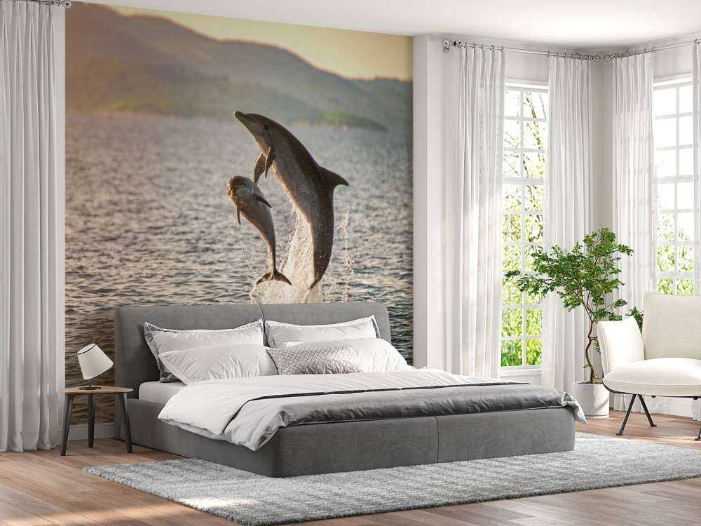 Due delfini che saltano