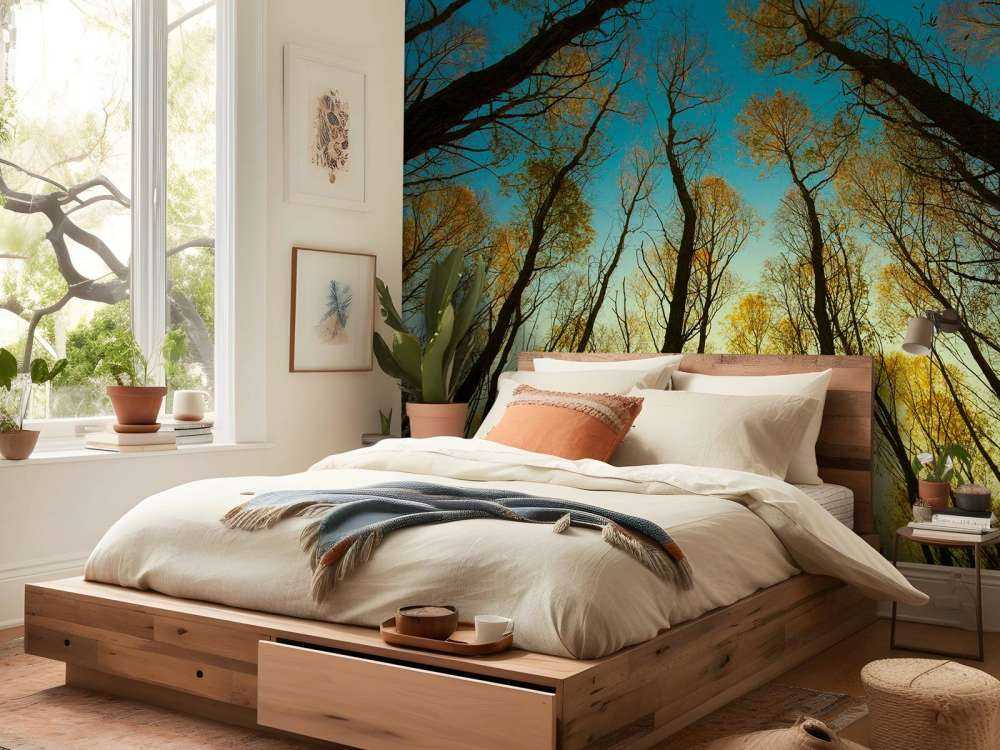 L'alba tra alberi ad alto fusto