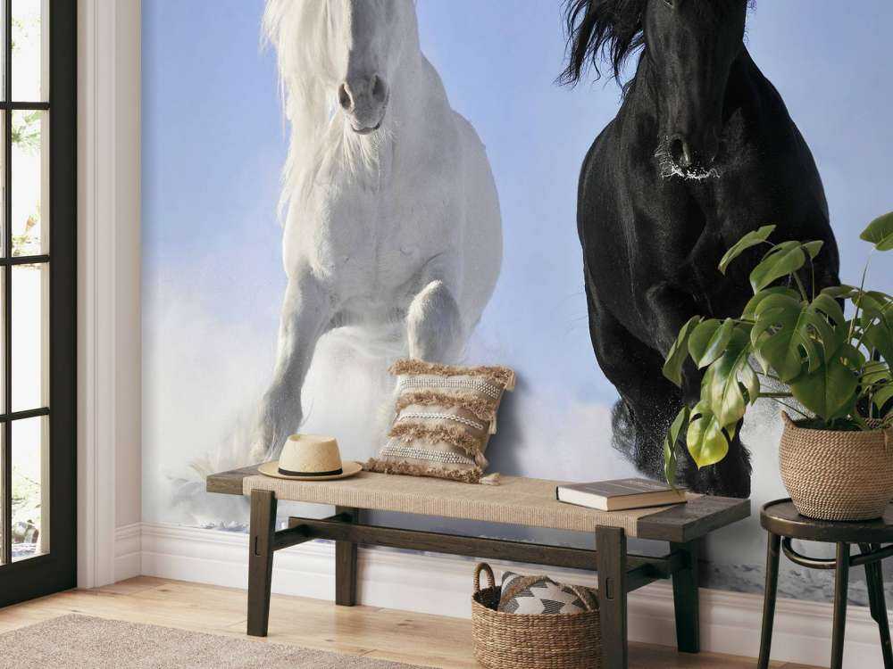 Bianco e cavallo nero